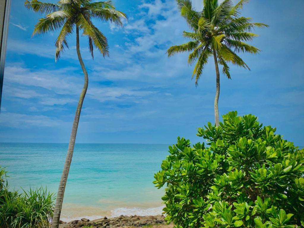 Sevenra Grand Beach Hotel アンバランゴダ エクステリア 写真