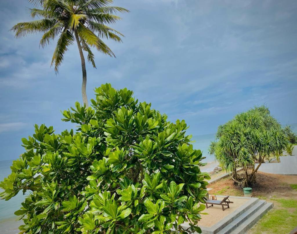 Sevenra Grand Beach Hotel アンバランゴダ エクステリア 写真