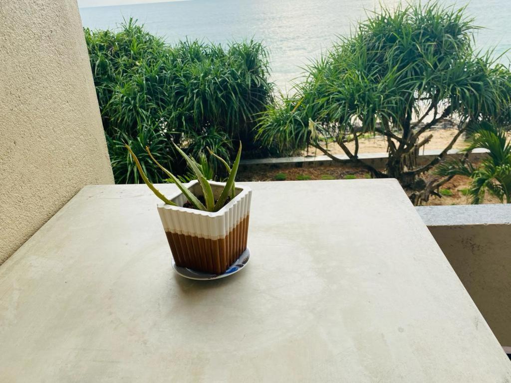Sevenra Grand Beach Hotel アンバランゴダ エクステリア 写真