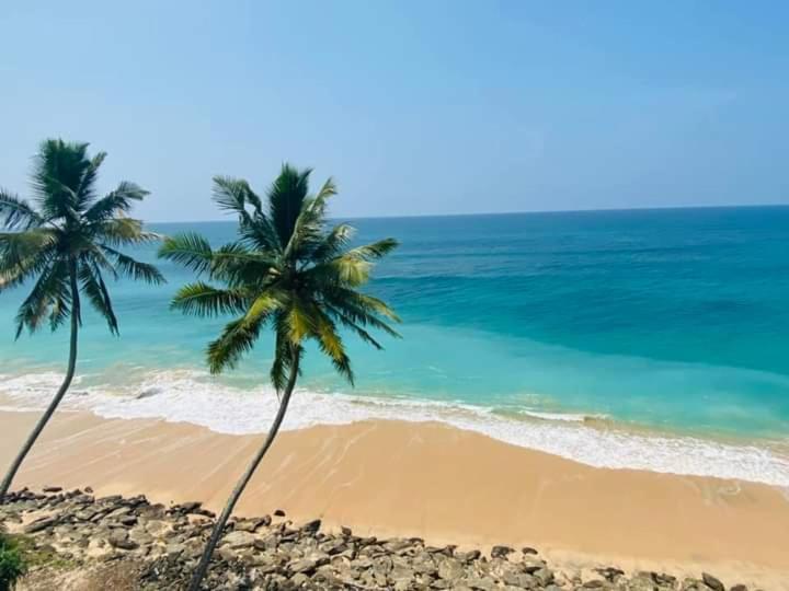 Sevenra Grand Beach Hotel アンバランゴダ エクステリア 写真