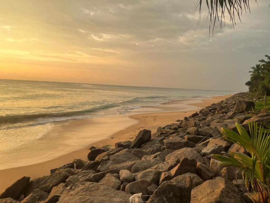 Sevenra Grand Beach Hotel アンバランゴダ エクステリア 写真